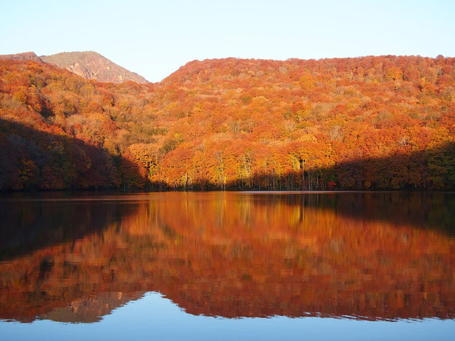 *mirror view!! taken by my sister on 19.10.2015