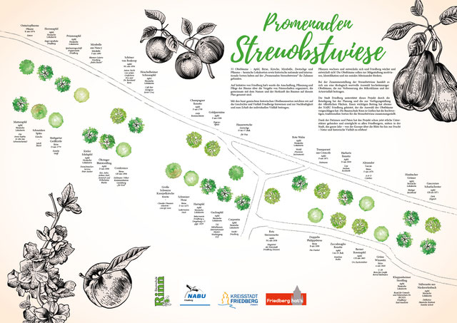 Warum nicht einen Obstbaum pflanzen? - Friedberg hat’s