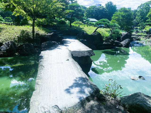 清澄庭園 石