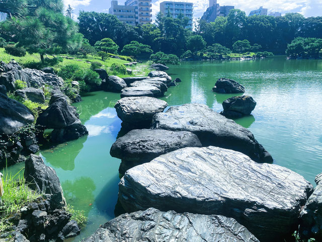清澄庭園 石
