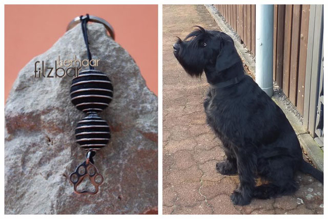 Schlüssel aus Hundehaar