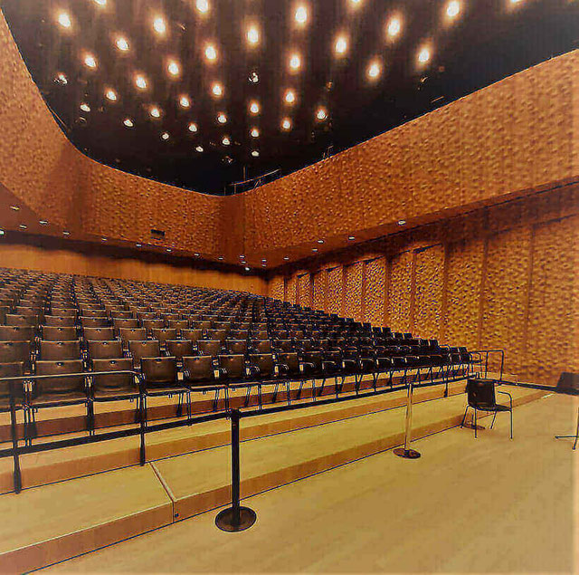 Der Kleine Saal der Elbphilharmonie Hamburg by Rickshaw