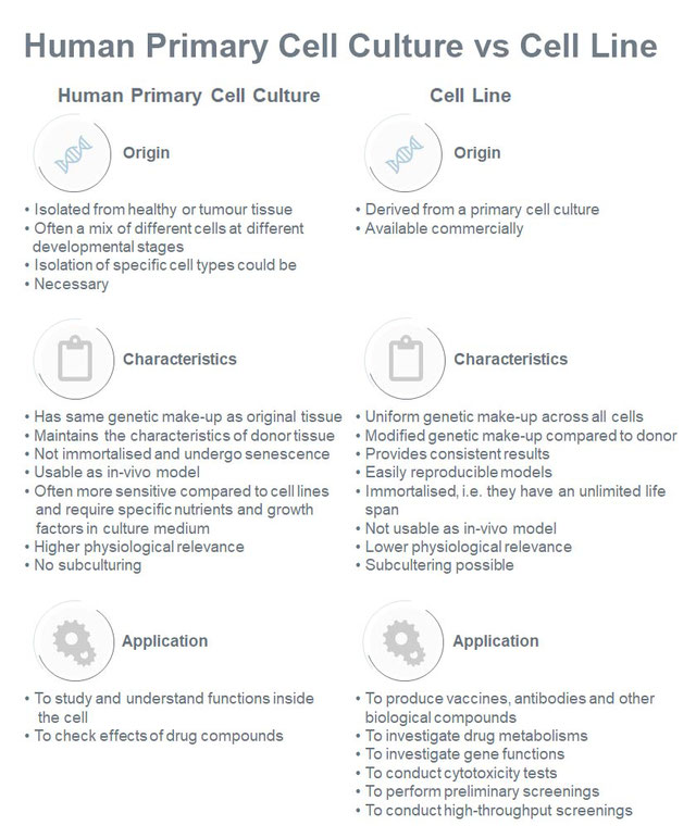 Difference between human primary cell culture and cell line (Oyeleye, O. et al., 2016).