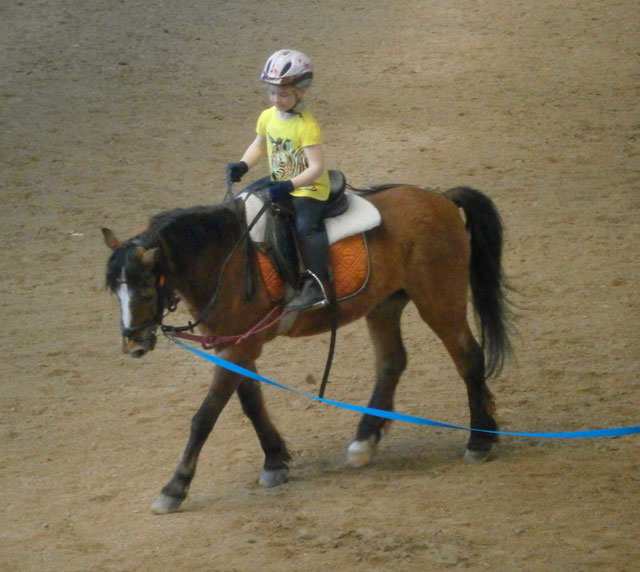 Longenstunden - Ponyclub Schlott - Die Erlebnis-Reitschule in Bruckberg ...