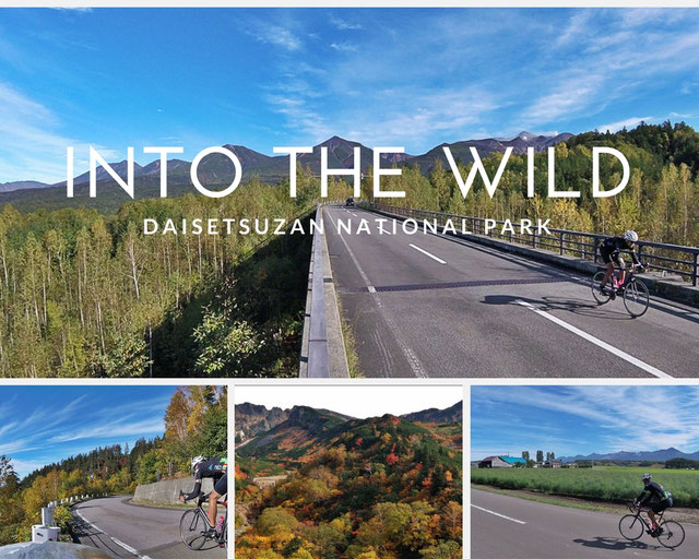 Into the Wild Bike Tours Japan