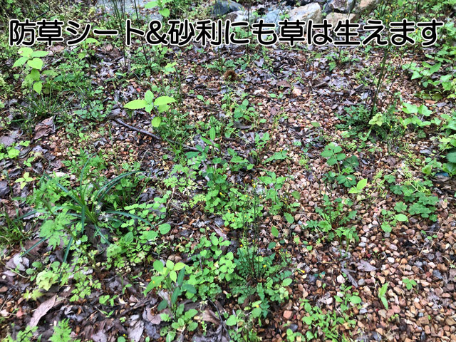 雑草　草　対策　草刈り　草取り　除草　草抜き　防草　処理　草むしり　砂利　スタンプコンクリート　デザインコンクリート　
