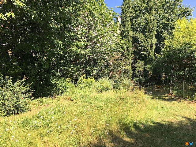 Jardin sans tondu