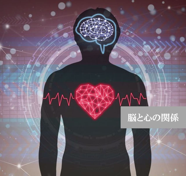 脳と心の関係を表す図