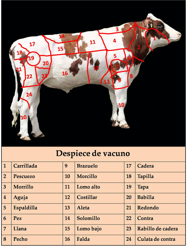 vacuno-p-gina-web-de-cocinacuriosa