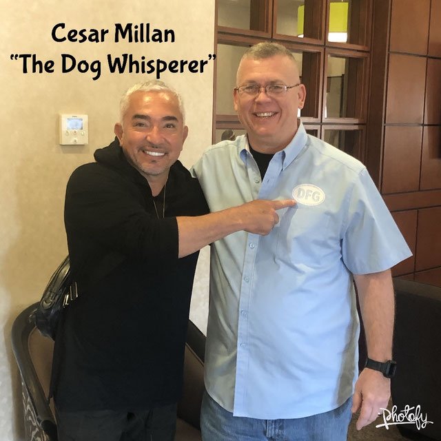 Underground Electric Dog Fence Troubleshooting Tips Dog Fence Guy