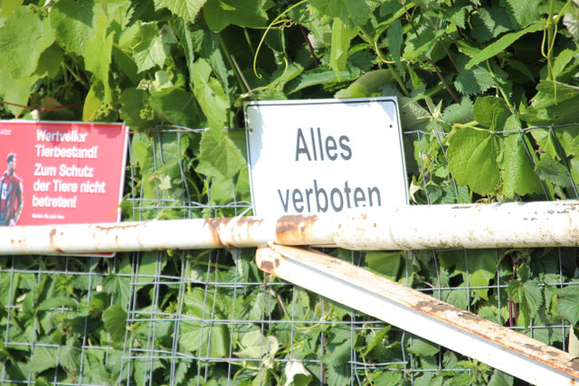 Ab hier herrscht wieder nüchterne Disziplin, gefälligst! :D