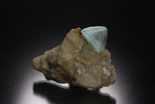 Caaschwitz - mos's Fluorite