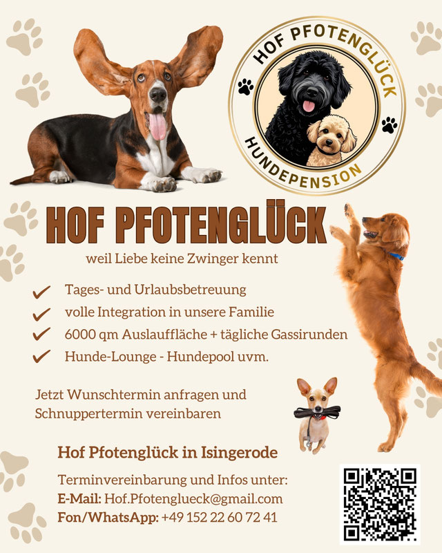 Urlaubsbetreuung und Tagesbetreuung für Hunde mit vollem Familienanschluss