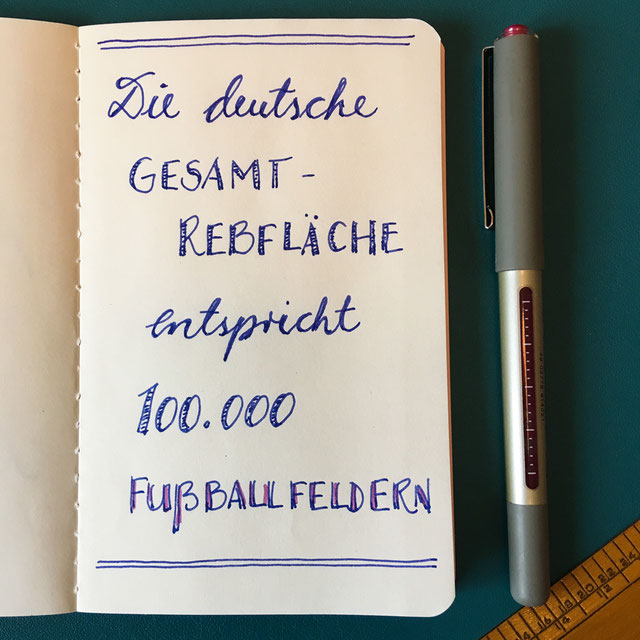 weinanbaugebiete-deutschland-entdecken