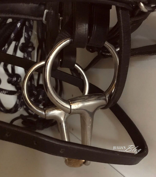 Stallschrank ausmisten und richtig einräumen mit System – meine Tipps