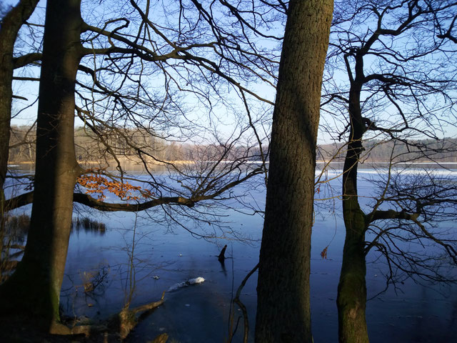 Impressionen am Liepnitzsee