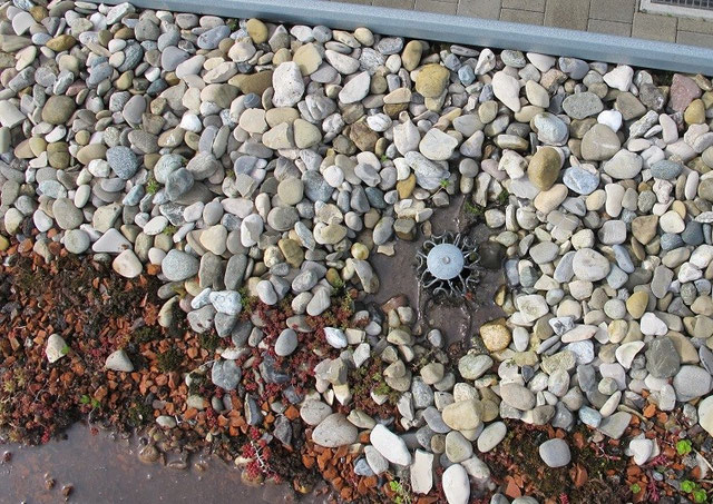 Auch Garagen müssen gegen Feuchte und Schimmel geschützt werden. - www