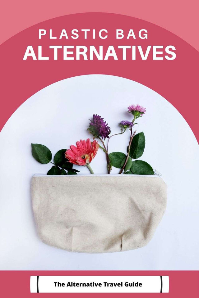 8 Excellent Plastic Bag Alternatives For An EcoFriendly Lifestyle
