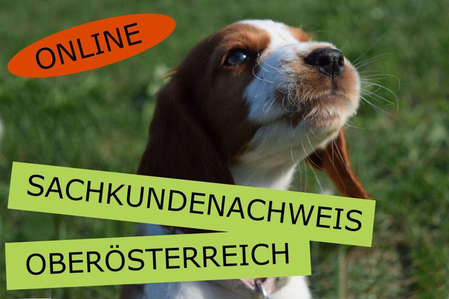 SACHKUNDENACHWEIS Animal Train