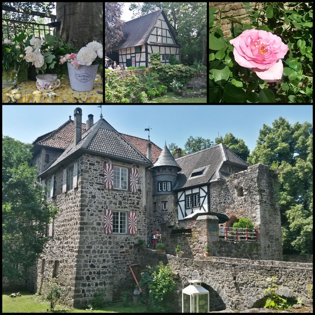 The Secret Garden Tag der offenen Gartenpforte im Rheinland Der