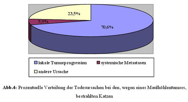 Maulhöhlentumore bei Hund und Katze Kann Bestrahlungstherapie die