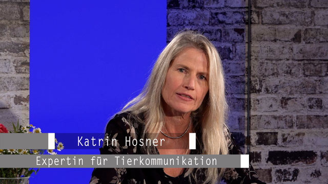 Gesundheitspraxis Katrin Hosner Komplementärtherapie in Herzogenbuchsee 