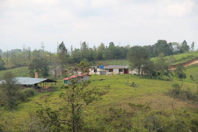 Panorámica Colegio