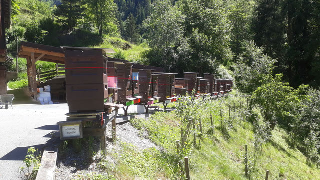 "Dort wo die Bienen stehen"... - Honigabhof