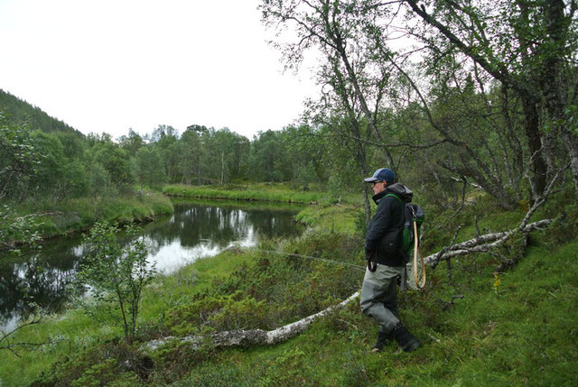 exploring a norway river in search of trout grayling char on flyrod flyfishing