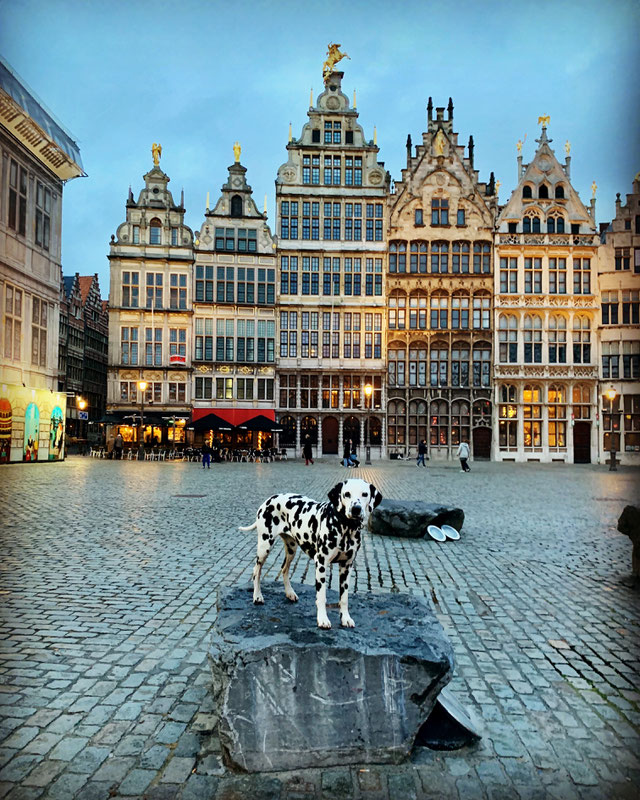 Grote Markt in Antwerpen