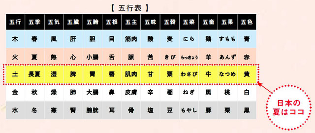 どんなオイルを使ったらよいか