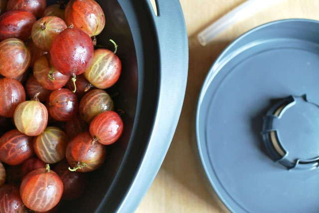 Entsafter Thermomix Aufsatz Rezepte, Mixfino Dampfentsafter-aufsatz: Entsaften Leicht Gemacht!