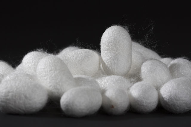 Seide AUS der schweiz - swiss silk Webseite