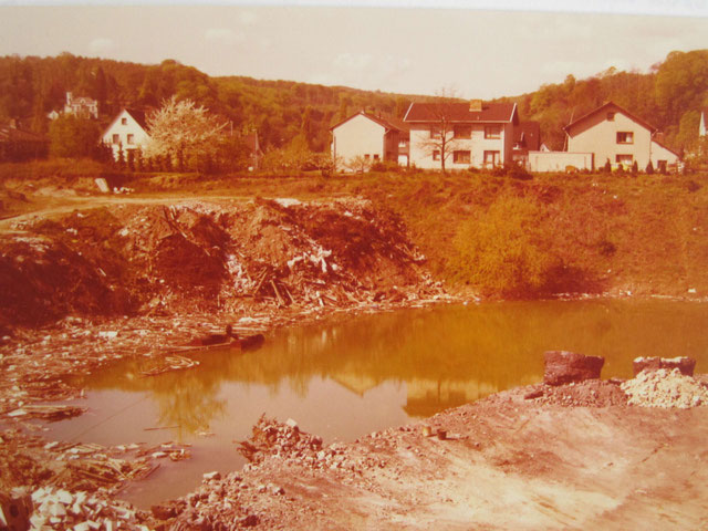 Schwenzow-Grube um 1970