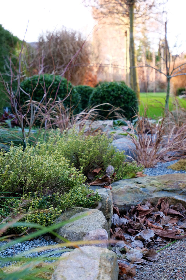 Der JanuarGarten. dieartige // DESIGN STUDIO // Interior + Garden