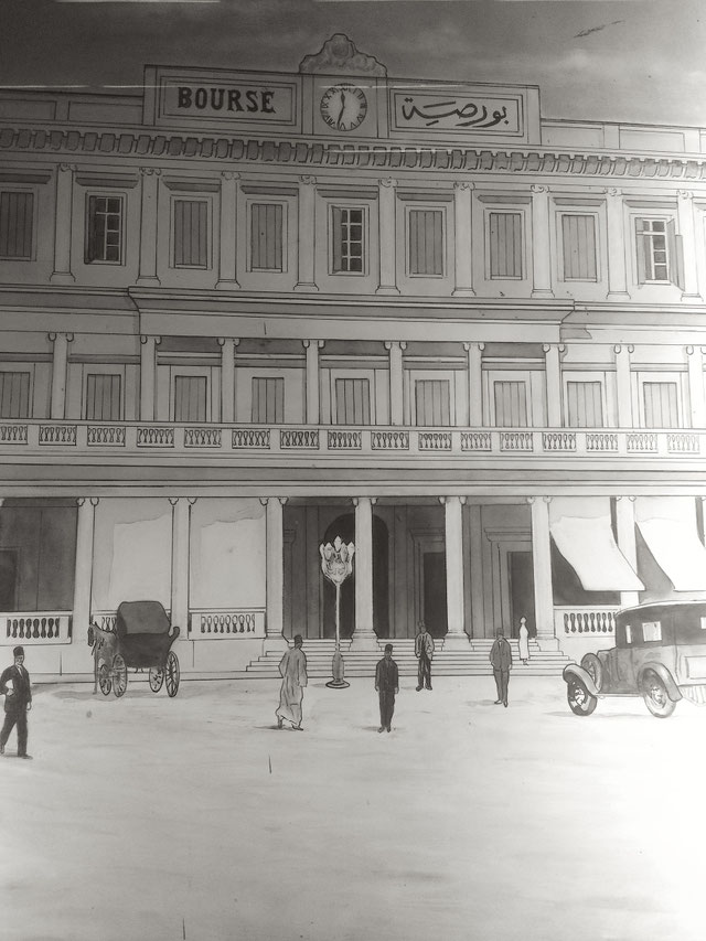 GIZA COTTON Giza Cotton