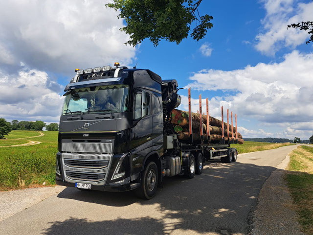 Holz aus heimischen Hölzern