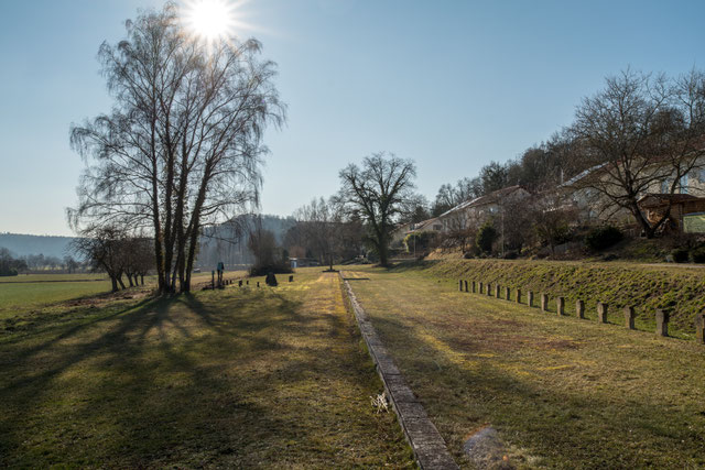 Sonntag, 25. Februar, a7riii mit Otus 28.