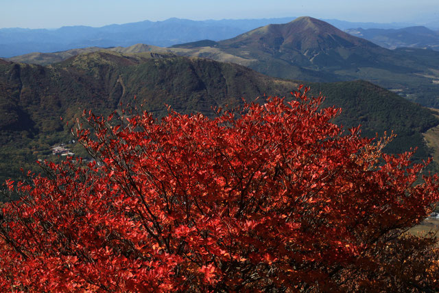 紅葉と湧蓋山(後方)