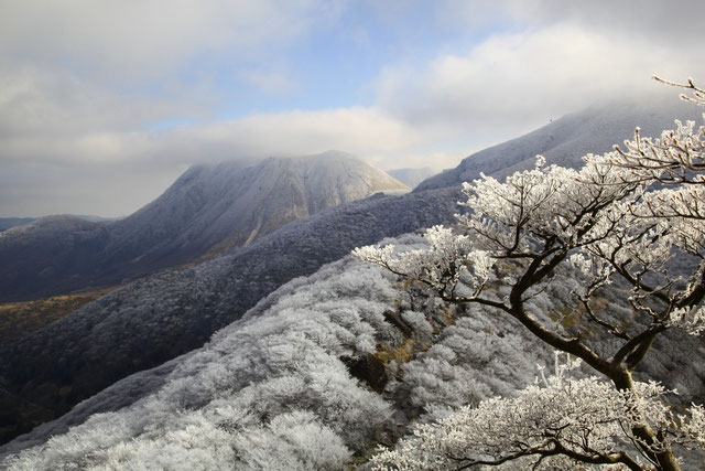 沓掛山より三俣山を望む