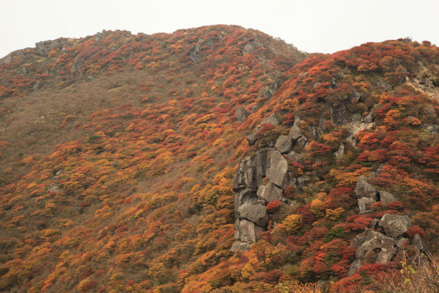 小鍋手前より北峰を望む