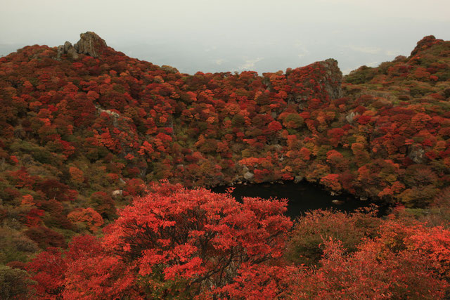 御池と紅葉