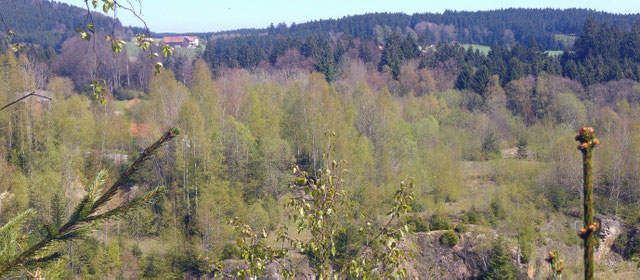 Blick vom Steinbruch Ach zum Aherndl in Mitteredt (Foto: Ruhland)