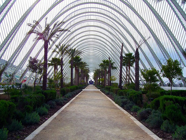 L'Umbracle es el pórtico de entrada a La Ciudad de las Artes y de las Ciencias, un mirador ajardinado de 320 m. de longitud y 60 m. de anchura, 