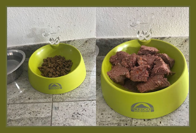 Bei Bestellung von 10 MaxivitDog Nassfutter Dosen (400g oder 800g) nach Wahl erhaltet ihr ihr von mir den stylischen Hundenapf als Geschenk dazu.