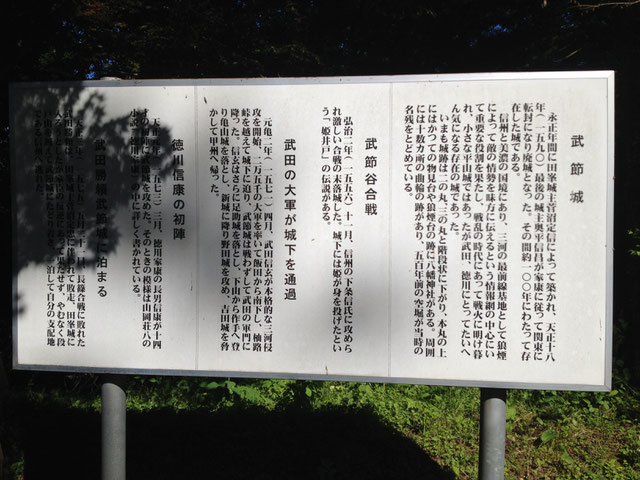 武節（ぶせつ）城