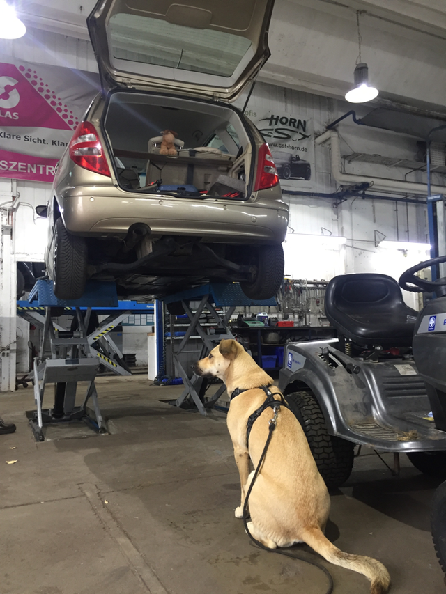 Das Team CST & HORN Jena