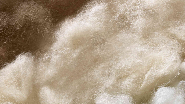 Bettwaren - Bittel Innendekorationen AG