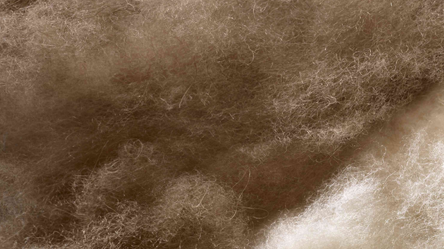 Bettwaren - Bittel Innendekorationen AG