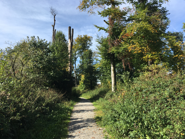 Leichter Weg